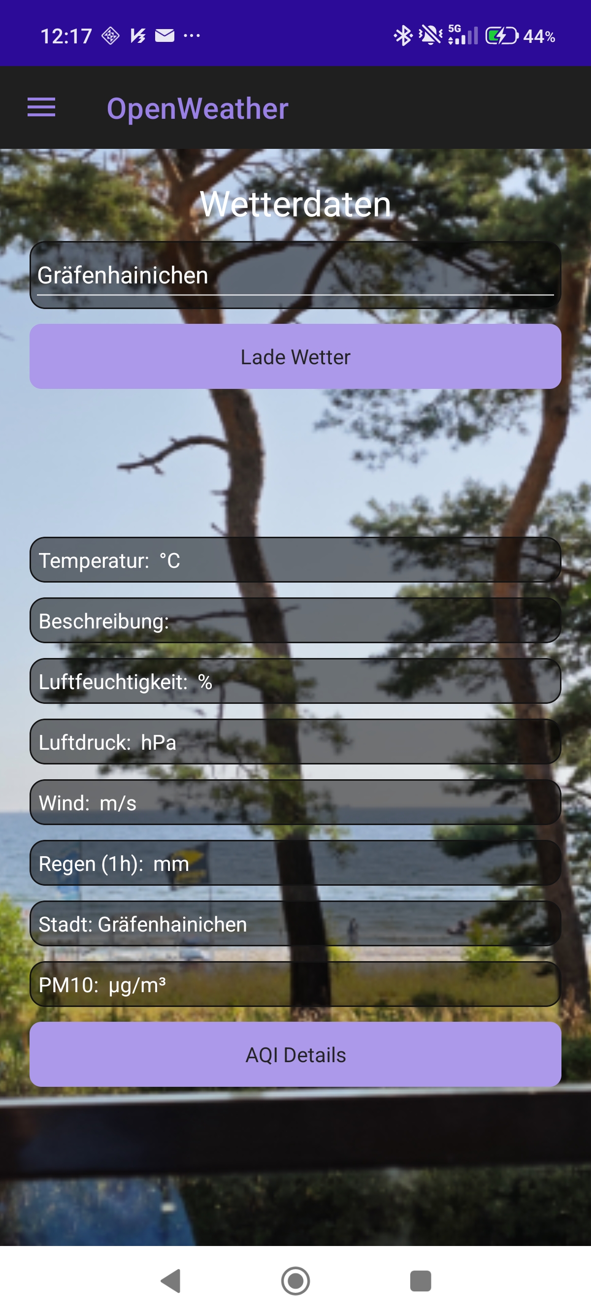 Detailansicht der Wetter-App mit Daten aus der OpenWeatherMap-API